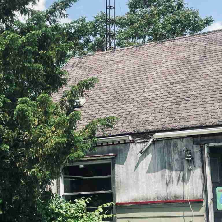 20506 Cardoni (4).jpg